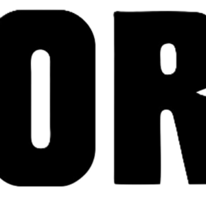 Korg